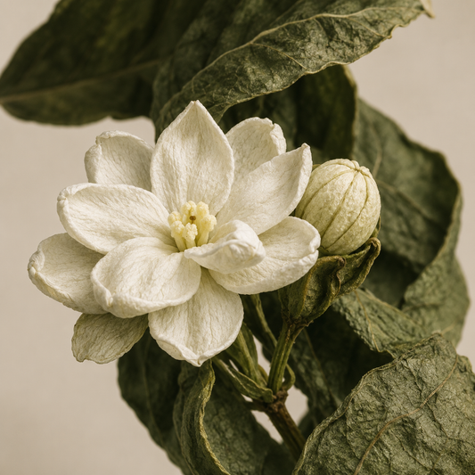 WOODEN PETALS 450G