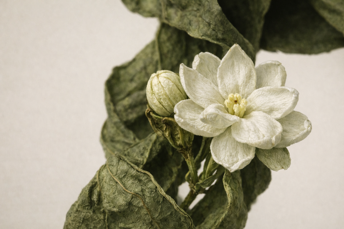 WOODEN PETALS 450G